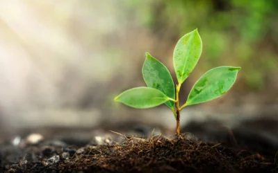 Le programme Design for change